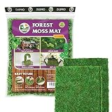 DUSPRO Moss Mat 2Pcs 13x9.5 Inches Self Stick Moss, Moss for Crafts, Decorative Moss for Moss Wall D