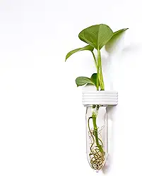 Estação de propagação para pendurar na parede, terrário, reciclado, impresso em 3D, ecológico, presente exclusivo para amantes de plantas (neve)