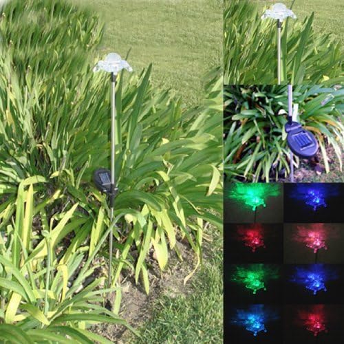 Luz LED que cambia de color de la estaca del jardín de la tortugadel patio con energía solar TMG