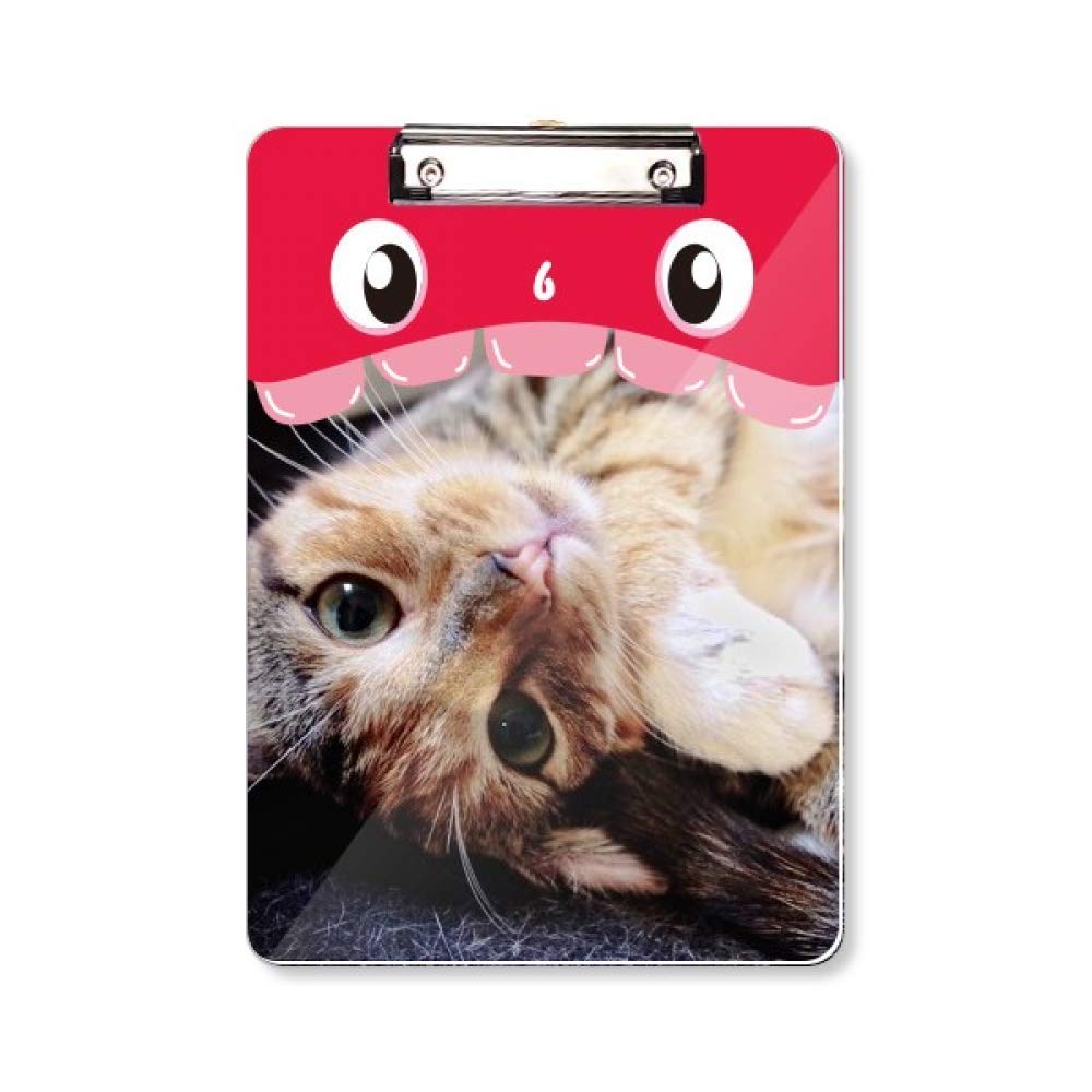 Porte-bloc chat A4 à rayures vertical pour bureau et prise de notes