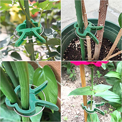 Alotpower Plant Support Clips 60pcs, Flower and Vine Clips,Garden Tomato Plant Support Clips for Supporting Stems,Vines Grow Upright Vegetables Tomatoes Climbing (2 Sizes in one Pack)