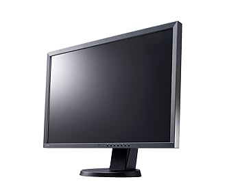 Amazon.co.jp: EIZO FlexScan 24インチカラー液晶モニター 1920