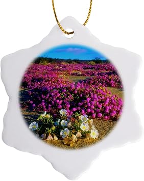 3dRose USA Anza-Borrego Desert 3 inch Snowflake Porcelain Ornament