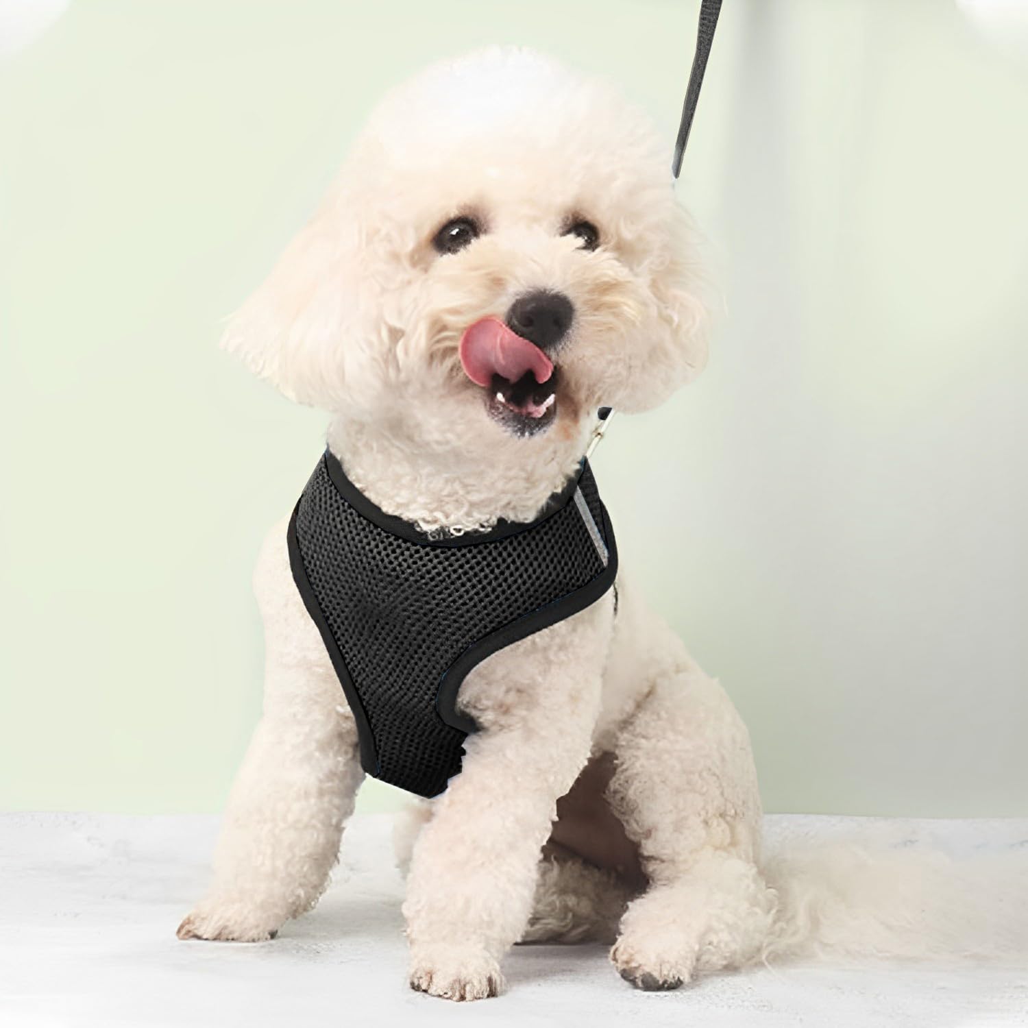 Kuber Industries Reflective Dog Harness with Adjustable Leash|Breathable Polyester Mesh Fabric with Top carry Handle|Small Size|HAT-818|Comfortable No-Pull Grip|Quick Release Buckles|Black (B0CWGQYYR9) Amazon Price History, Amazon Price Tracker