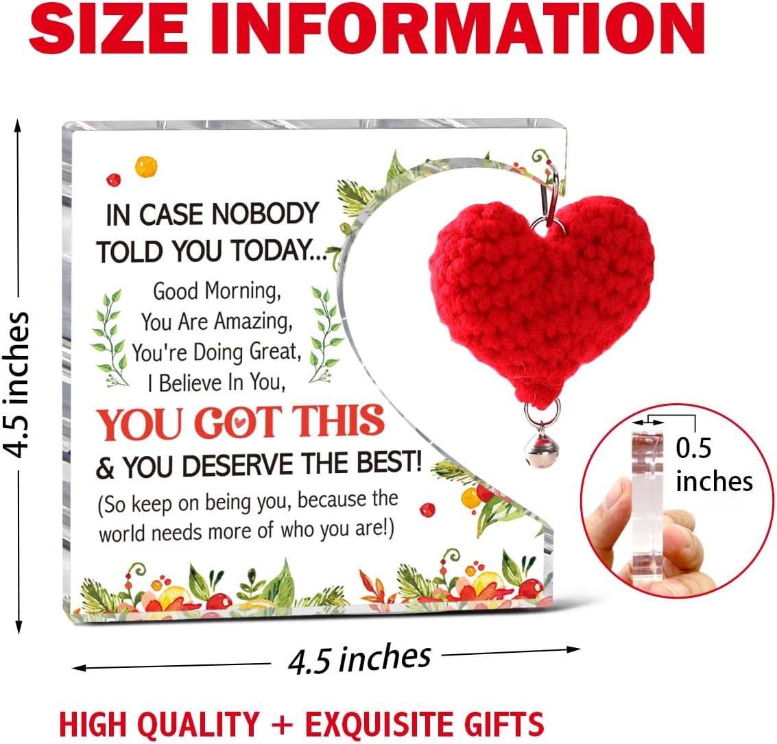 Inspirational Gifts For Women Coworkers, In Case Nobody Told You Today Motivational Quote Acrylic Plaque Gifts For Colleague Employees Friend Office Decor - Image 2