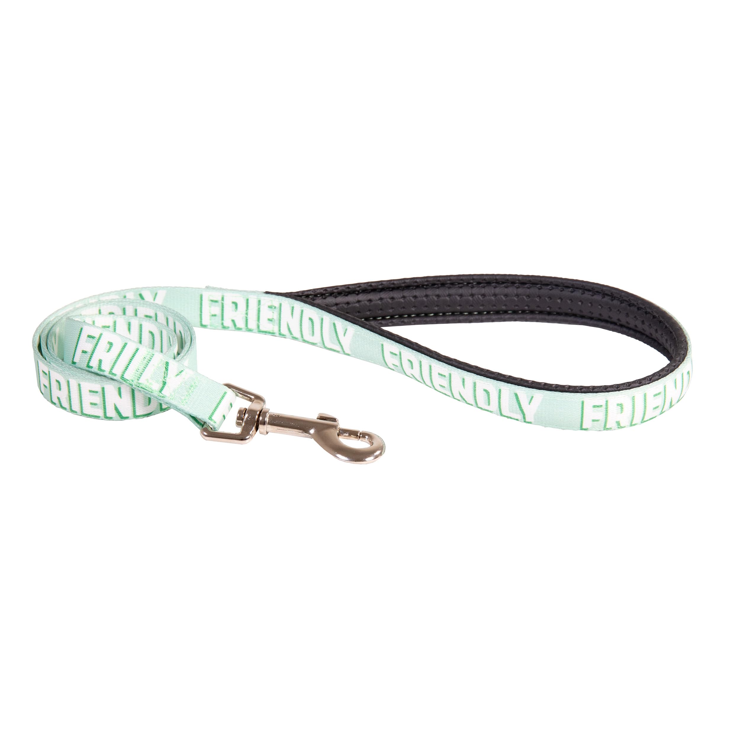 Rosewood Friendly Alert Dog Lead