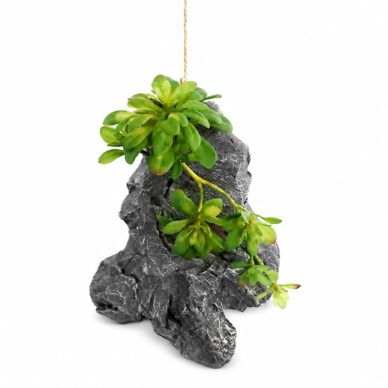 Roccia Artificiale da Giardino, Roccia PU 8 + succulenta verde