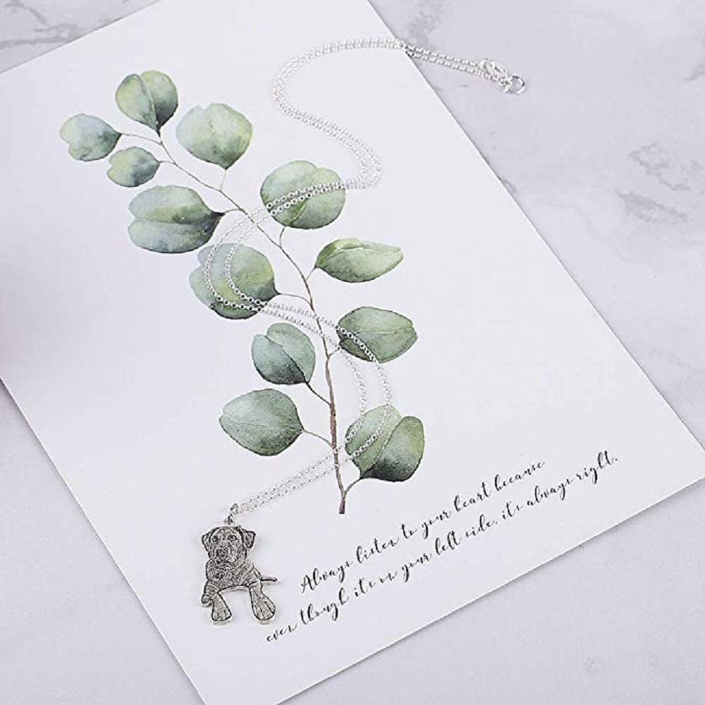 Collana con ciondolo personalizzabile con foto del nome di animali domestici, gatto, cane, collana in argento per donne, ragazze, ragazzi, amici, uomini