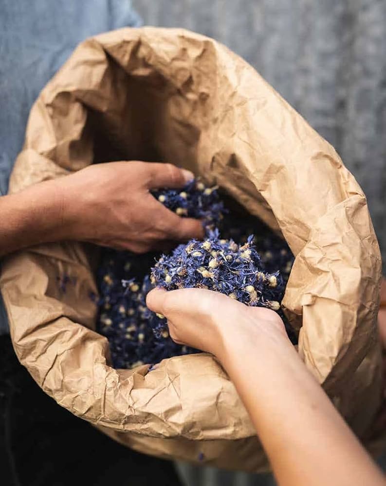 Infusions - Terroirs des simples: Poirrier, Claire, Poirrier