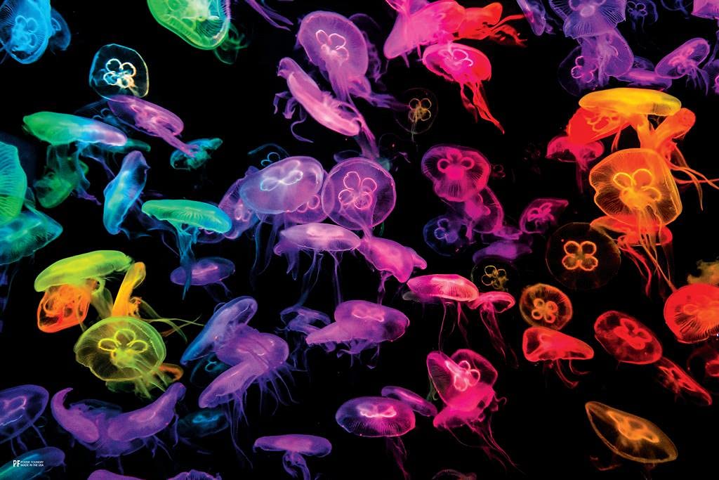 Neon Rainbow Jellyfish