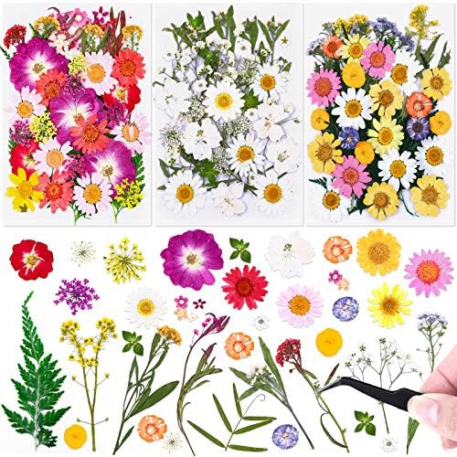 120 PCS Dried Flowers for Resin Molds, Natural Pressed Flowers Leaves Herbs kit with Tweezers for DIY Art Crafts, Candle,Jewelry Making, Scrapbook Embellishment, Nail, Silicone Molds, Floral Decors