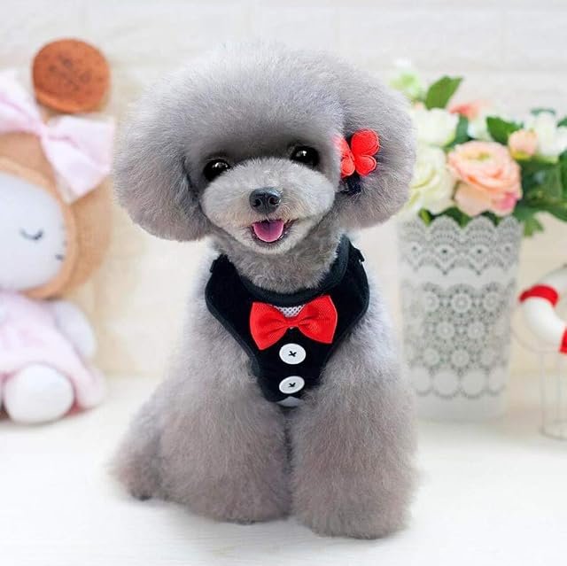 Foto 3 de 7 de Oyccen Perro Gato Arnés Ajustable con Correa Chaleco de Malla Respirante Cachorros Bowknot Traje de Boda Ropa…