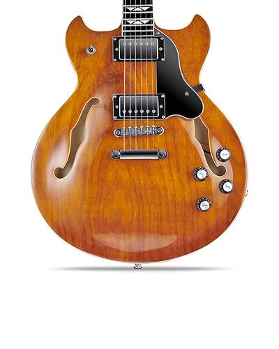 Amazon.com: WestCreek 333 Electric Guitar with 6 String, Semi