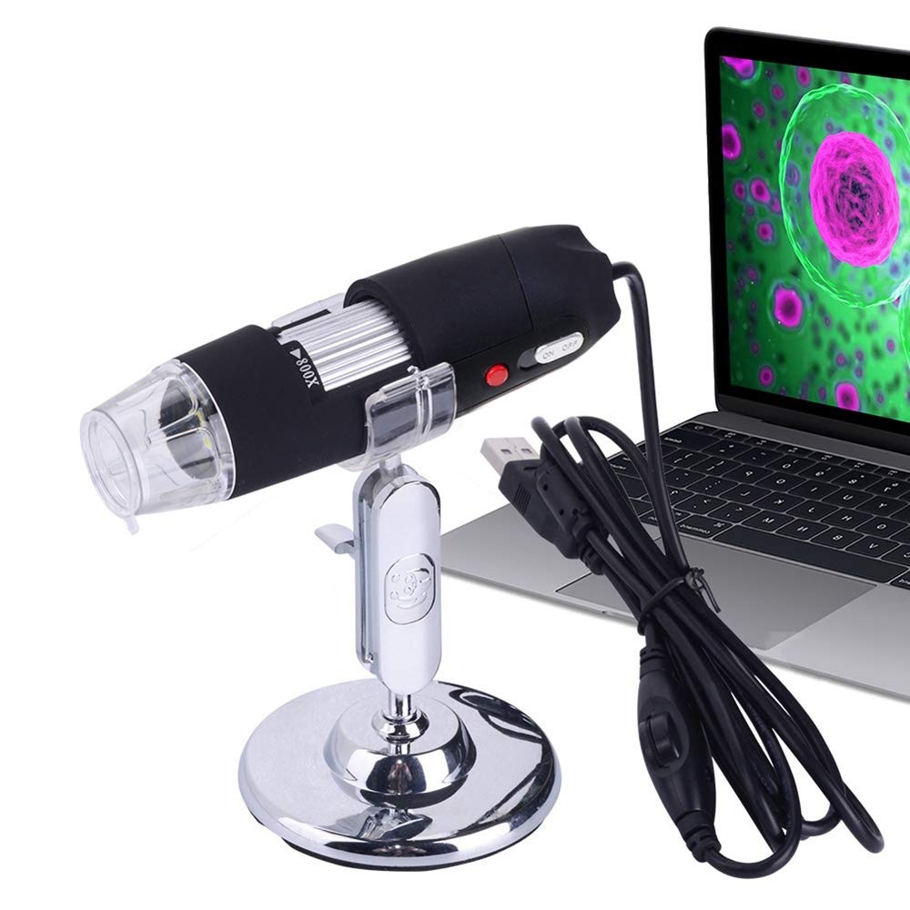 Microscope numérique LLD pour zoomer sur l'infiniment petit avec précision 800X