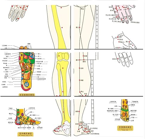 Zzooi Set of 2 Human Body Acupuncture Point Map, Chinese Version