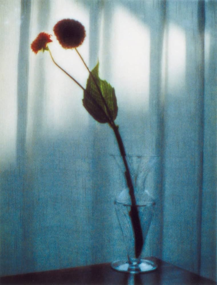 【おまとめ専用】海外古書　洋書　1979年　高山の花 高山の花 永田 芳男 全集 C:並 C0920B : 創育の森 - 通販