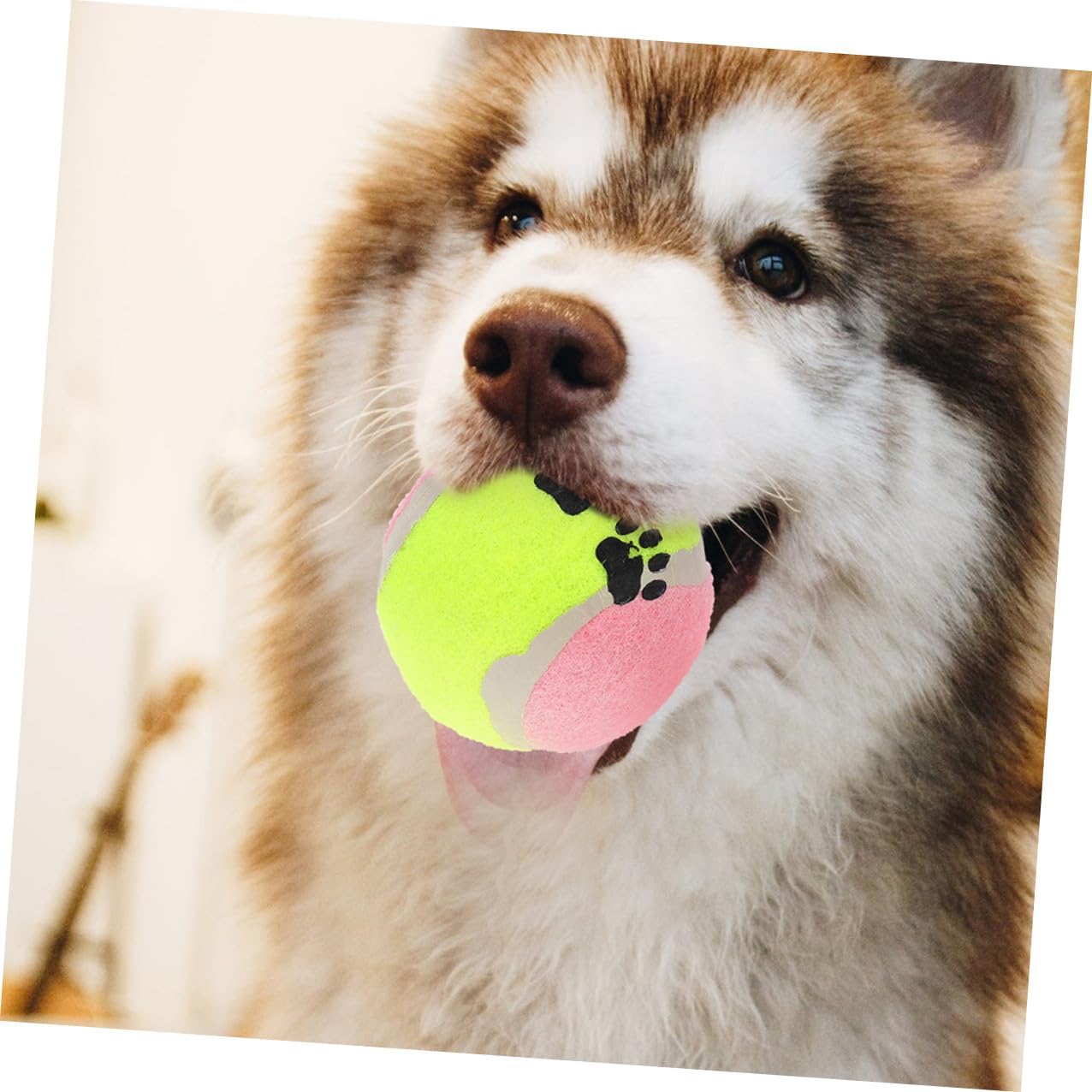 16pcs Small Plush Tennis Balls for Dogs, Rubber Pet Training Balls for Outdoor Activity, Sturdy 7cm Diameter Puppy Exercise Set Random Color