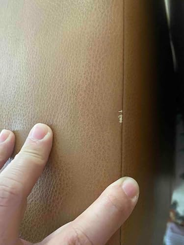 Review Image by EvieT