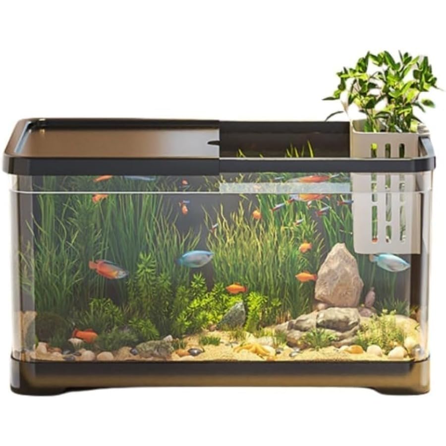 E*o様 アクアリウムセット Amazon.co.jp: Pazzfre 透明プラスチック製多用途アクアリウムセット