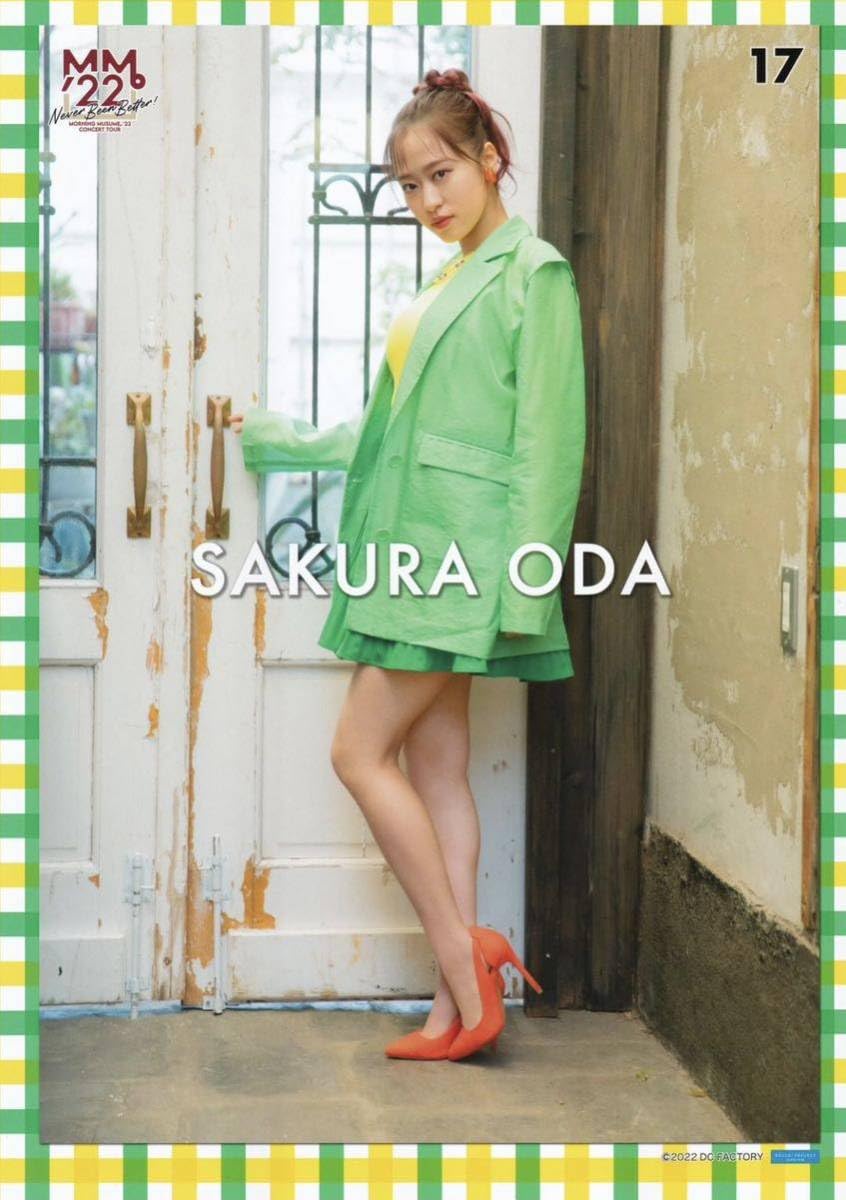 Amazon.co.jp: 小田さくら 17 コレクションピンナップポスター
