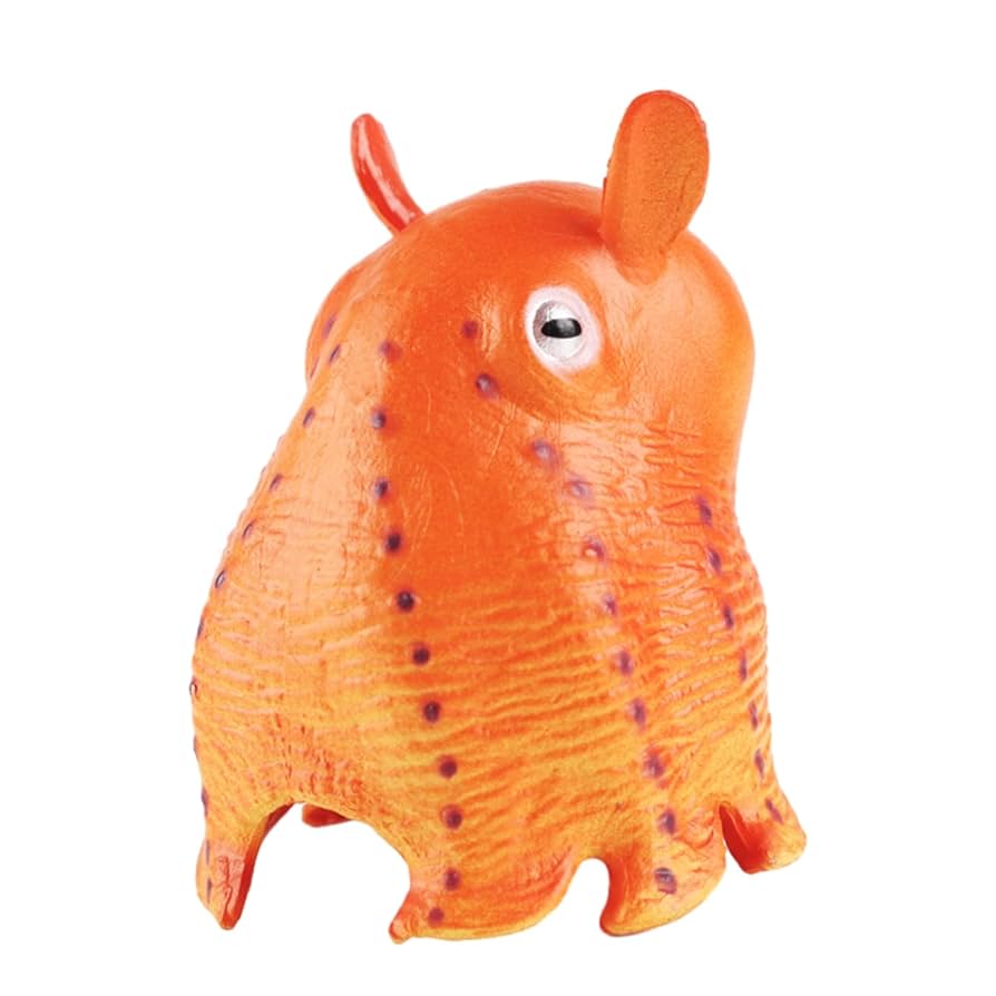 Amazon | EUHELOPA ジュウモンジダコ 頭足綱 メンダコ科 海の