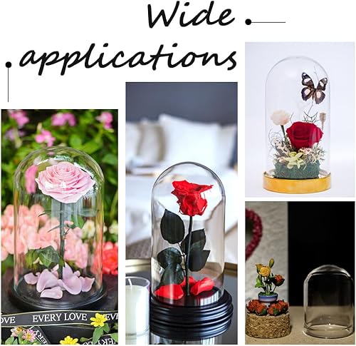 Miniatura 5 de CRASPIRE Cúpula Cloche de cristal con base de corcho de 3.4 x 1.2 pulgadas, 10 piezas de tarro de campana mini cubierta de soporte, frasco de