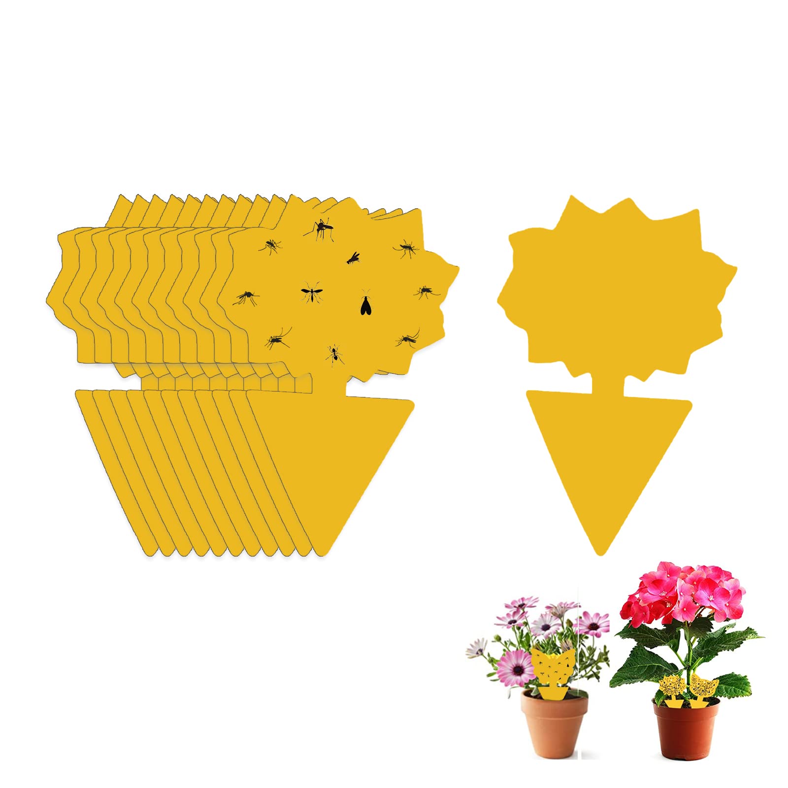 Fruit Fly Sticky Trap, 48PCS Fungus Gnat Traps Insect Trap, yellow sticker protection plant for Kitchen Indoor Outdoor Catch White Flies Mosquitos Fungus Flying Insects Houseplant (Banyan tree)