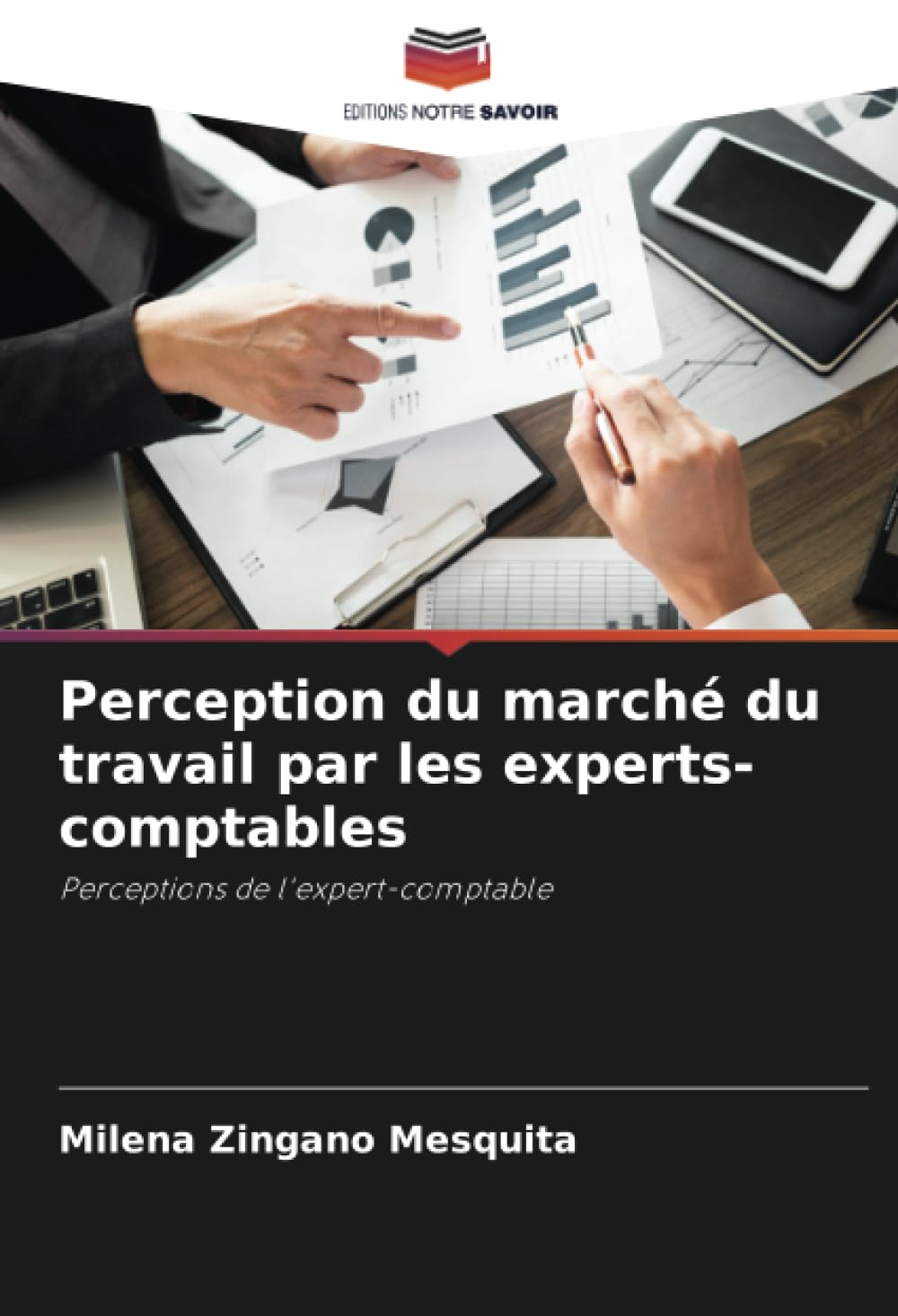 Perception du marché du travail par les experts-comptables: Perceptions de l'expert-comptable