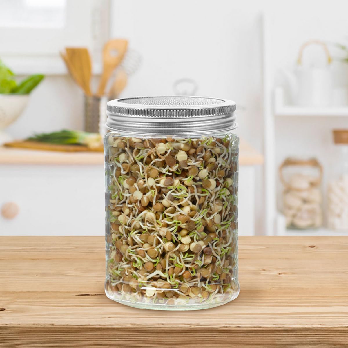 Tapas de Malla para Frascos de Germinación 6 Piezas, Acero Inoxidable 304, Filtro Colador para Brotes, Compatible Frascos de Boca Ancha, Tapa Duradera para Cocina y Hogar