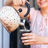 Beruth Bombilla Yerba Mate Gourd, 8oz Stainless Steel Tea Cup Set with a Multifunctional Lid, Two Straws and Cleaning Brushes, Double Walled Coffee Mug Heat Insulation Anti Scalding BR2302 (Black)