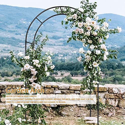 Garden Arch Trellis For Climbing Plants Outdoor Wedding Arches For Ceremony Black Metal Garden Arbor Indoor Garden Arches For Party Decoration 7.9Ft Wide X 6.4Ft High Or 4.9Ft Wide X 7.9Ft High #TOP2