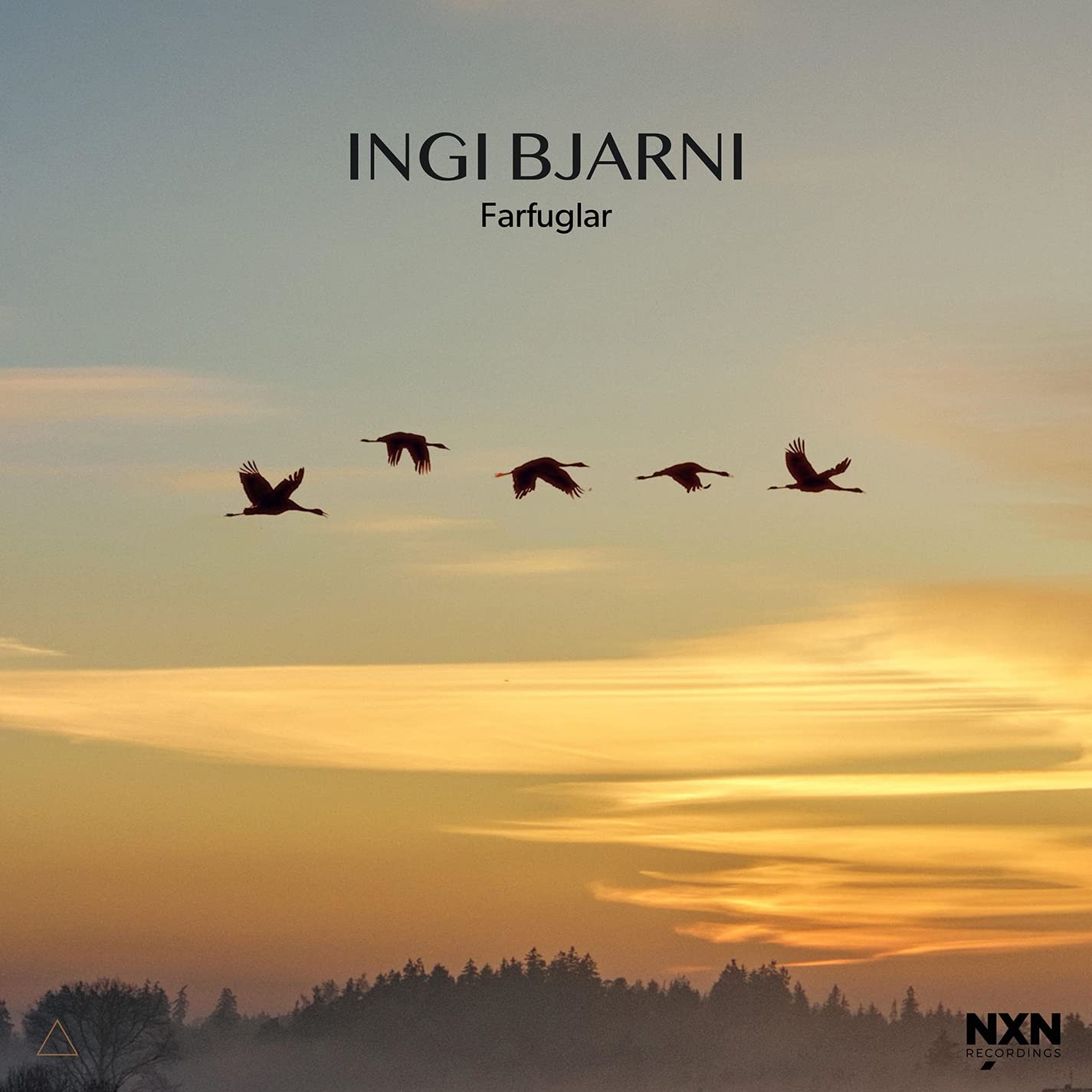 INGI BJARNI:FARFUGLAR