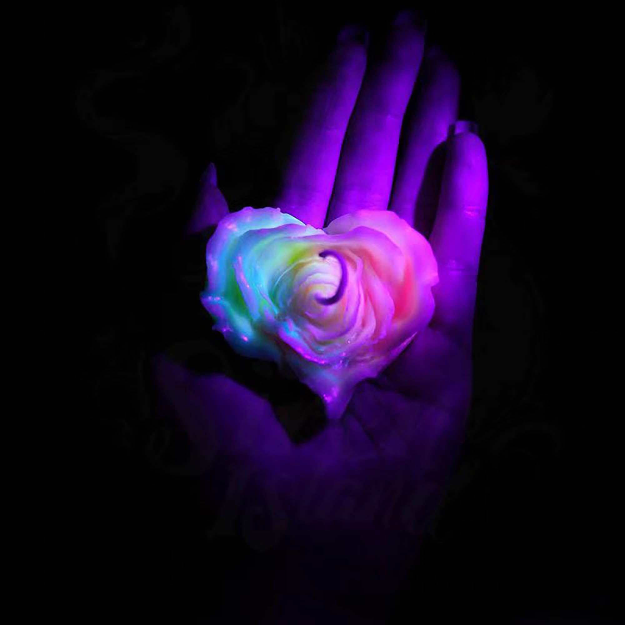 Cooary 113°F 4 Pcs Low Temperature Candles Glow in The Dark White Peony Flower Shaped White Heart Rose Scented Luminous Candles Adult Low Heat Body Safe Drip Candles Wax Play for Couples Date Night