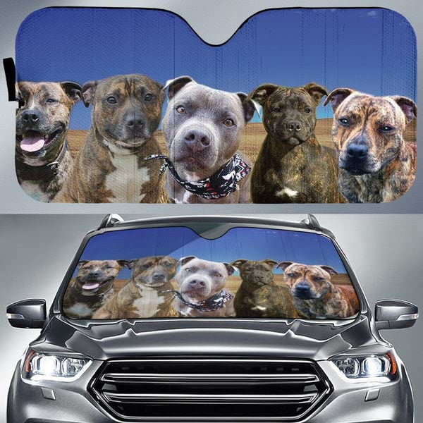 Pare soleil voiture universelle pour voyage en famille et camping en SUV motif Staffie