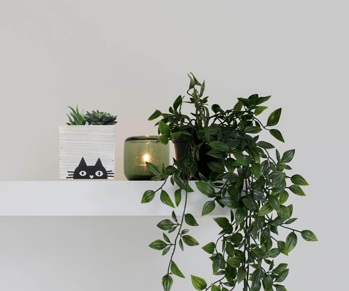 Peeking Black Cat Planter Wood Box