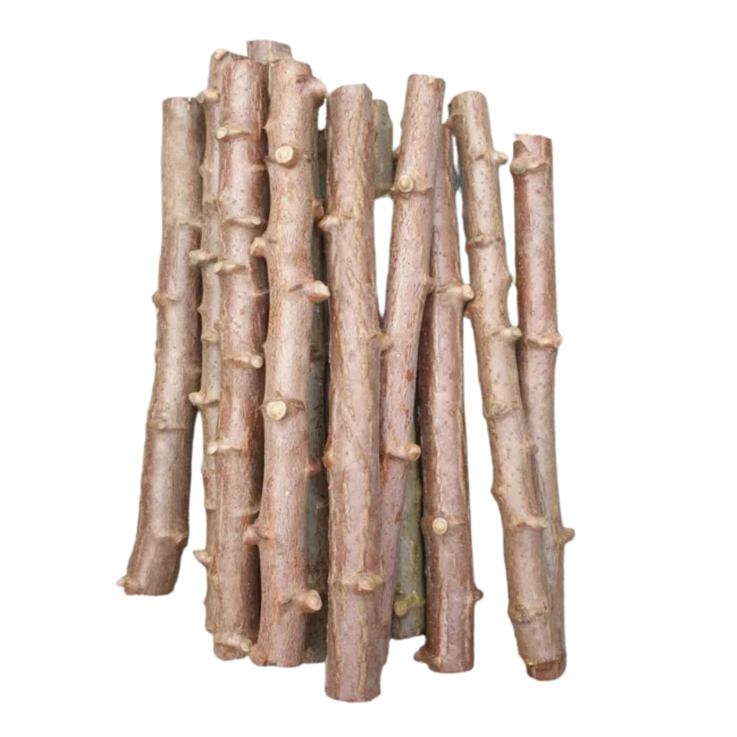 See full amazon price history chart for Hug A Plant | Tapioca Stem Cuttings Live Plant (Home & Garden) (Pack Of 3) Hug A Plant | Tapioca Stem Cuttings Live Plant (Home & Garden) (Pack Of 3) (B0CQF6QMZW) Amazon Price History, Amazon Price Tracker