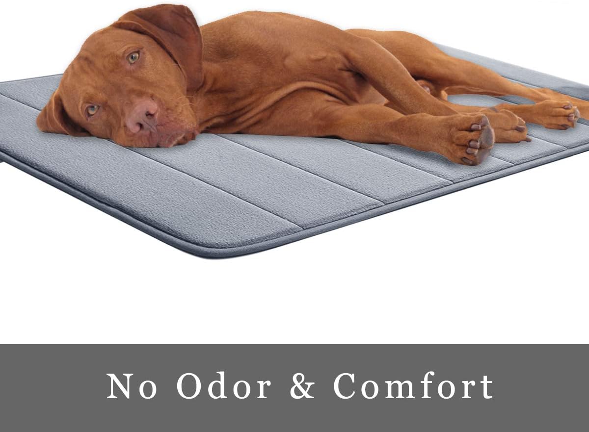 Memory Foam Bath Mat 15.5" X 23" Coral Velvet Super Non-Slip Rapid Water Absorption Soft and Comfortable Easier to Dry Machine Wash Bathroom Mat, Gray : Home & Kitchen