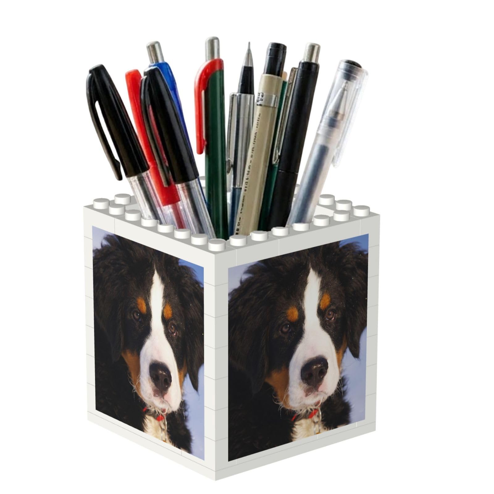 Poadnly Bernese Mountain Dog, Pen Pot Pencil Holder for Office Home School, Compact Desk Organiser for Office Stationery