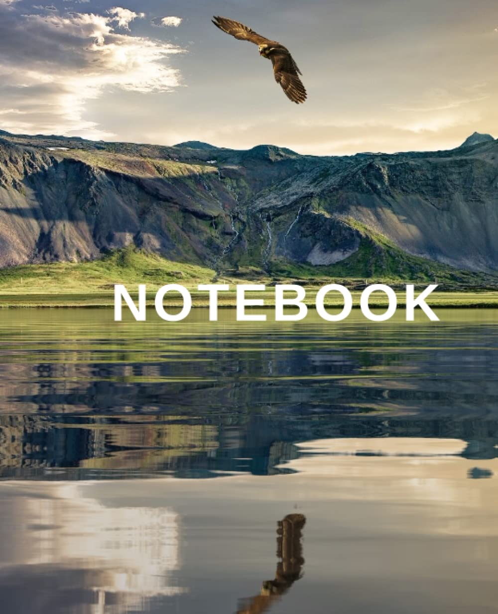Eagle Notebook