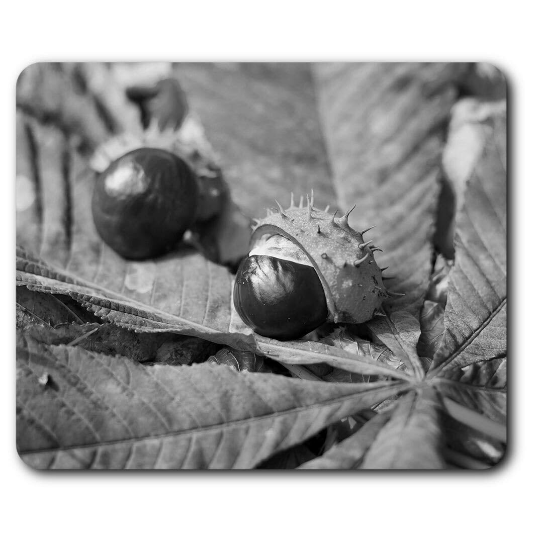 APSRA Rectangle Mouse Mat BW - Conker Horse Chestnut Tree #38083 Printed Mouse Pad, Office and Home Use, Non Slip