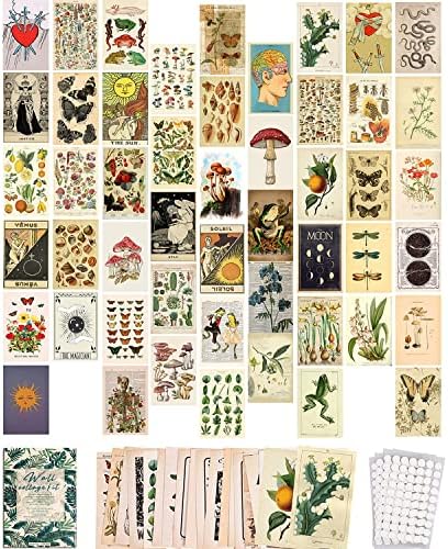 SOONYO Vintage Botanical Illustration Tarot Aesthetic Pictures Wall Collage Kit, Trendy Small Poster for Dorm, Vintage Style Art Print Photo Collection (Multicolor, 50pcs)