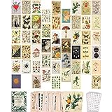 SOONYO Vintage Botanical Illustration Tarot Aesthetic Pictures Wall Collage Kit, Trendy Small Poster for Dorm, Vintage Style Art Print Photo Collection (Multicolor, 50pcs)