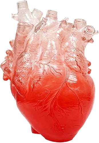 Anatomical Heart Resin Vase, Red, 13x9x17cm