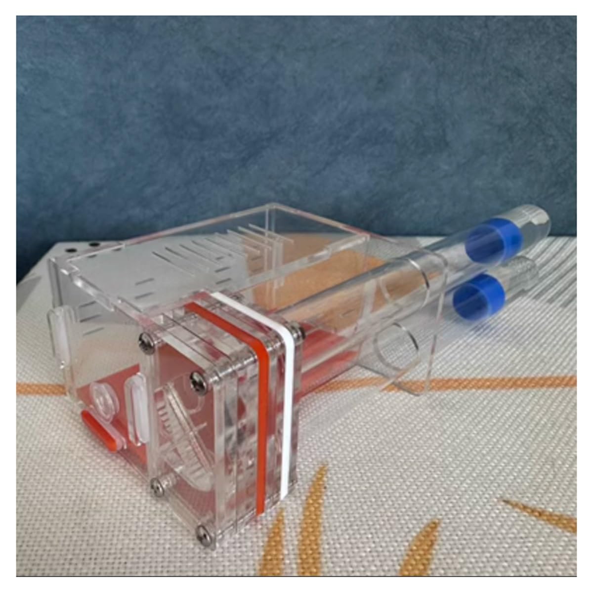 Ameisenhaus, DIY Acryl Ant Formicarium 2 Reagenzglas 4x4x4cm 15-18mm(B,15 Calibre)