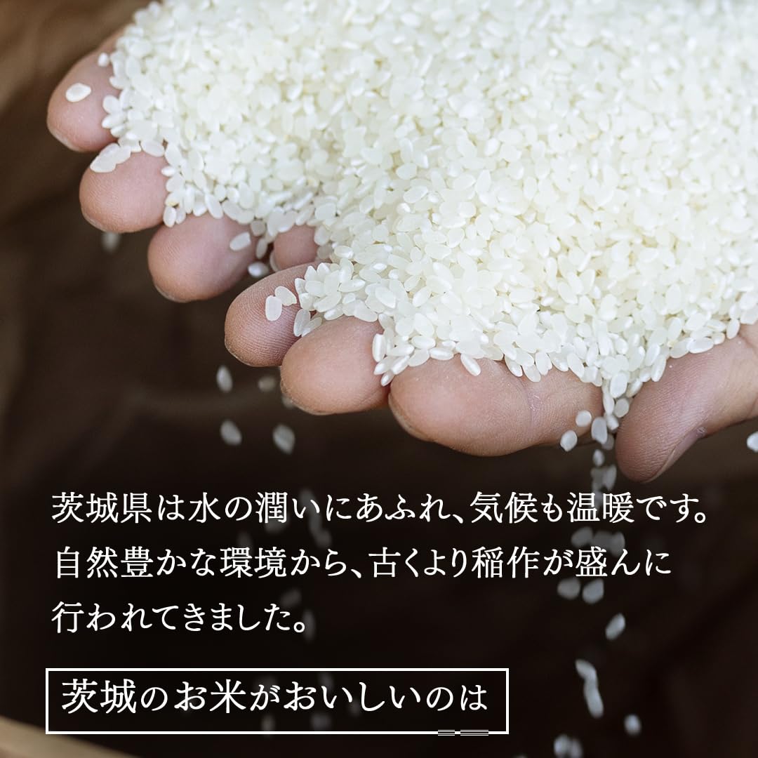 Amazon.co.jp: 令和7年産 茨城県産 精米 コシヒカリ 2kg （2kg×1袋