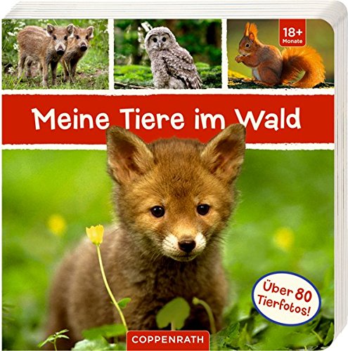 Meine Tiere im Wald Meine Tiere im Wald