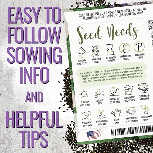 Seed Needs Anise Hyssop Seeds for Planting Agastache foeniculum - Non-GMO Heirloom & Untreated - Grow a Medicinal/Culinary Herb Garden for Tea & Essential Oils (1 Pack) - Image 4