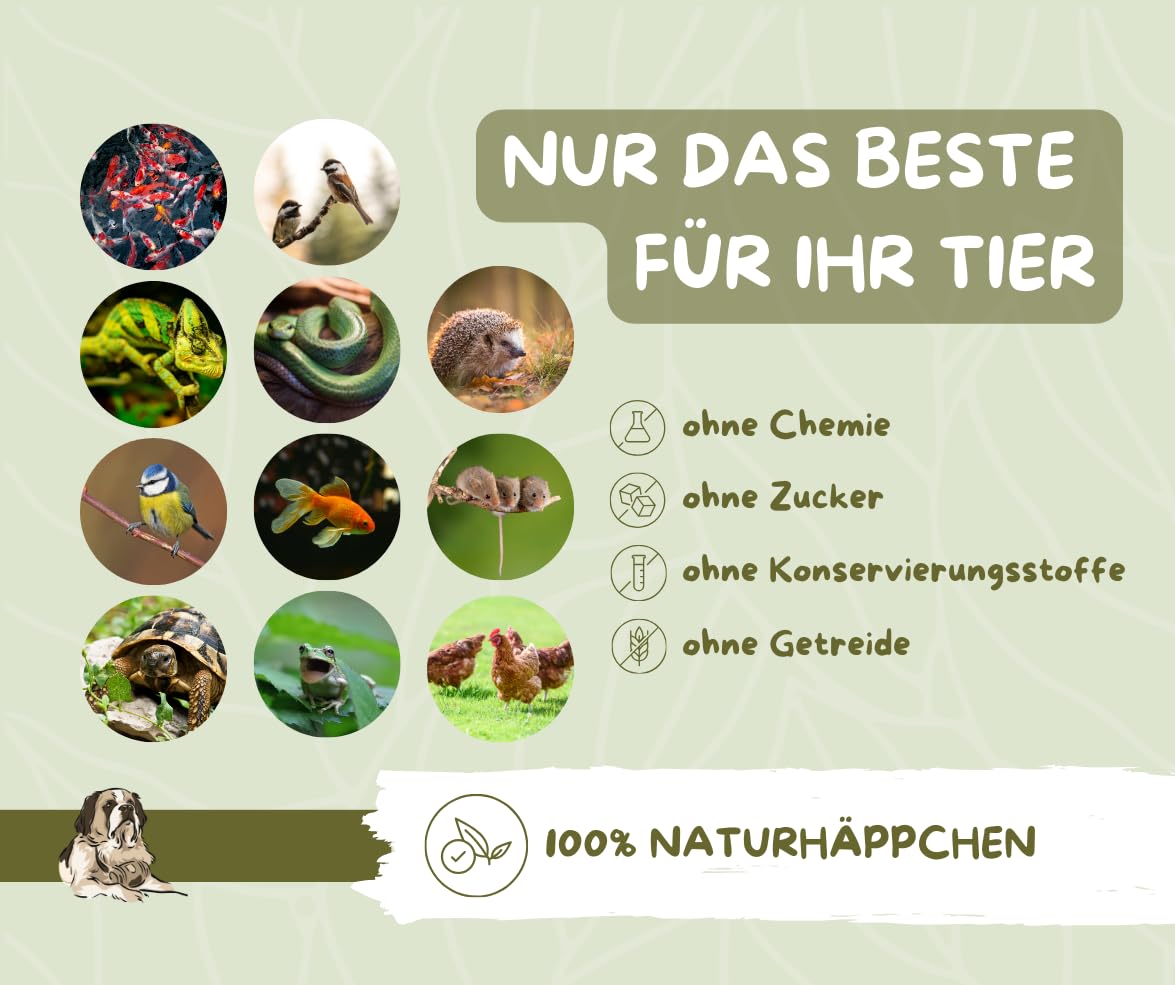 Warnick's Naturhäppchen Mückenlarven Bloodworms getrocknet - 3 Liter | Proteinreiches Naturfutter für Zierfische, Koi & Wasserschildkröten - Naturbelassen & ohne Zusätze - Bloodworms