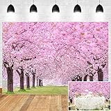 Cherry Blossom Flowers Backdrop for Photography 9x6ft Spring Scenery Cherry Blossom Wedding Bridal Shower Background Girls Women Portrait Themed Party Decor Picnic Banner Studio Props Vinyl