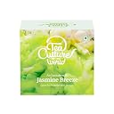 Tea Culture of The World Jasmine Green Tea | Whole Leaf Green Tea with Jasmine | Premium Pyramid Tea Bags | Floral & Refreshing Blend | 16 Count gallery image